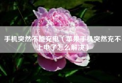 手机突然不能充电（苹果手机突然充不上电了怎么解决）