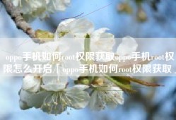 oppo手机如何root权限获取oppo手机root权限怎么开启「oppo手机如何root权限获取」