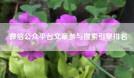 微信公众平台文章参与搜索引擎排名