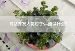 网站开发人员对于Seo能做什么？