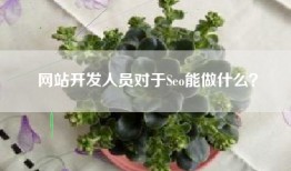 网站开发人员对于Seo能做什么？