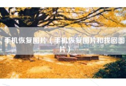 手机恢复图片（手机恢复图片和找回图片）