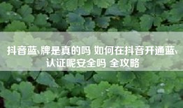 抖音蓝v牌是真的吗 如何在抖音开通蓝v认证呢安全吗 全攻略