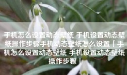 手机怎么设置动态壁纸 手机设置动态壁纸操作步骤手机动态壁纸怎么设置「手机怎么设置动态壁纸 手机设置动态壁纸操作步骤」