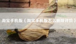 淘宝手机版（淘宝手机版怎么删除评价）