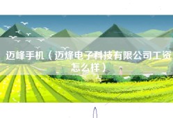 迈峰手机（迈烽电子科技有限公司工资怎么样）