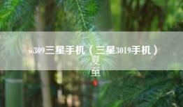 w309三星手机（三星3019手机）