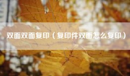 双面双面复印（复印件双面怎么复印）