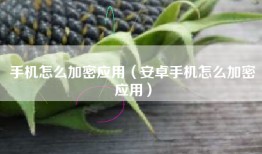 手机怎么加密应用（安卓手机怎么加密应用）