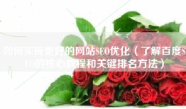 如何实现更好的网站SEO优化（了解百度SEO的核心教程和关键排名方法）