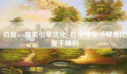 百度seo搜索引擎优化_百度搜索引擎优化是干嘛的