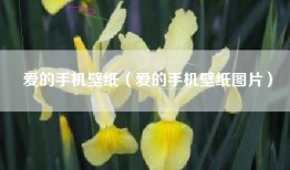 爱的手机壁纸（爱的手机壁纸图片）