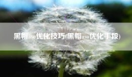 黑帽aso优化技巧(黑帽aso优化手段)