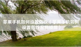 苹果手机如何设置指纹（苹果手机如何设置指纹密码锁屏）