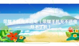 荣耀手机充不进电（荣耀手机充不进电开不了机）