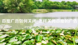 百度广告如何关闭_怎样关闭百度的广告