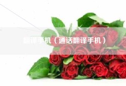 翻译手机（通话翻译手机）