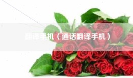 翻译手机（通话翻译手机）