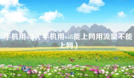 手机用wifi（手机用wifi能上网用流量不能上网）