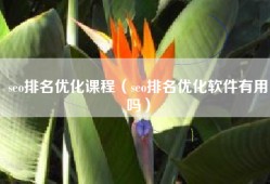 seo排名优化课程（seo排名优化软件有用吗）
