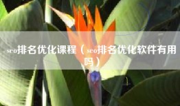 seo排名优化课程（seo排名优化软件有用吗）