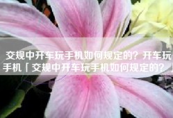 交规中开车玩手机如何规定的？开车玩手机「交规中开车玩手机如何规定的？」