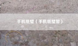 手机纸璧（手机纸璧警）