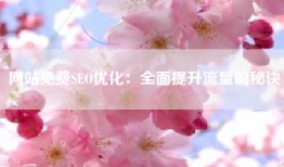 网站免费SEO优化：全面提升流量的秘诀