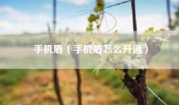 手机盾（手机盾怎么开通）