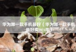 华为哪一款手机最好（华为哪一款手机最好卖2024年）