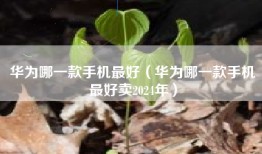 华为哪一款手机最好（华为哪一款手机最好卖2024年）