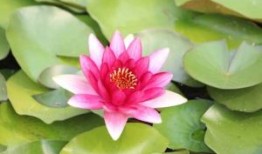 慎的意思