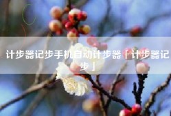 计步器记步手机自动计步器「计步器记步」