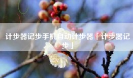 计步器记步手机自动计步器「计步器记步」