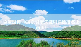 百度搜狗360搜索引擎关键词快速排名上首页！