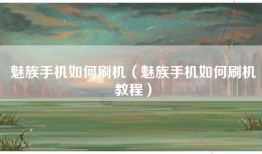 魅族手机如何刷机（魅族手机如何刷机教程）