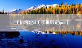 手机绑定id（手机绑定ipad）