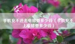 手机充不进去电修要多少钱（手机充不上电修要多少钱）