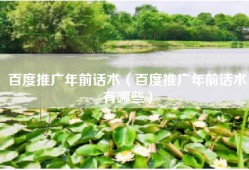 百度推广年前话术（百度推广年前话术有哪些）