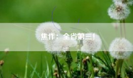 焦作：全省第三！