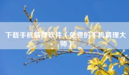 下载手机清理软件（免费的手机清理大师）