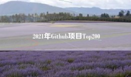 2021年Github项目Top200