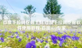 百度下拉词挖掘工具,百度下拉词挖掘软件使用教程-百度SEO专家