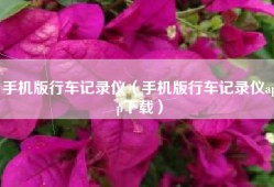 手机版行车记录仪（手机版行车记录仪app下载）