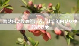 网站自动收录的方法，让您的网站尽快的被收录