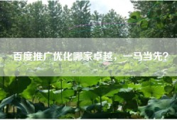 百度推广优化哪家卓越，一马当先？