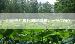 百度推广优化哪家卓越，一马当先？