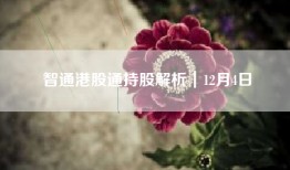 智通港股通持股解析｜12月4日