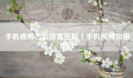 手机视频怎么设置密码（手机视频加密码）