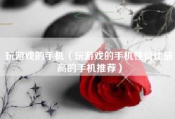 玩游戏的手机（玩游戏的手机性价比最高的手机推荐）
